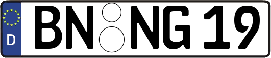 BN-NG19