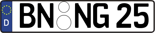 BN-NG25