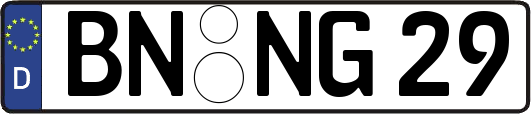 BN-NG29