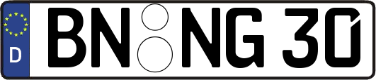 BN-NG30