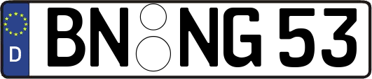 BN-NG53