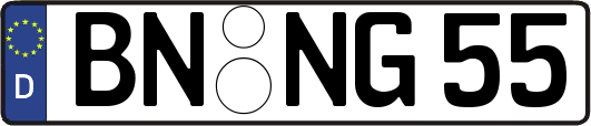 BN-NG55