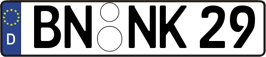 BN-NK29