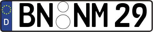 BN-NM29