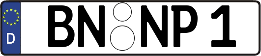BN-NP1
