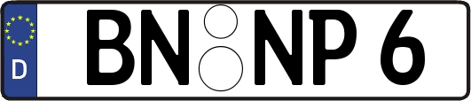 BN-NP6