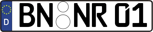 BN-NR01