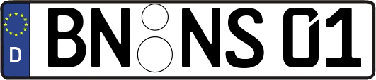 BN-NS01
