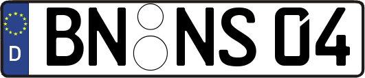 BN-NS04