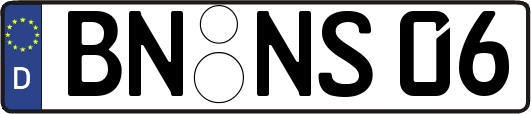 BN-NS06