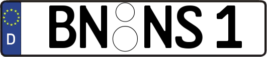 BN-NS1