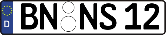 BN-NS12
