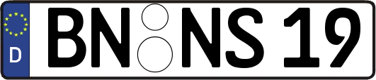 BN-NS19