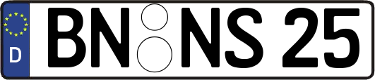 BN-NS25