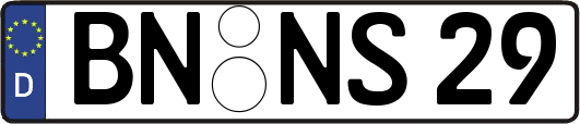 BN-NS29