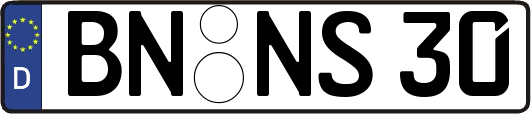 BN-NS30