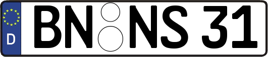 BN-NS31