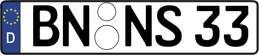 BN-NS33