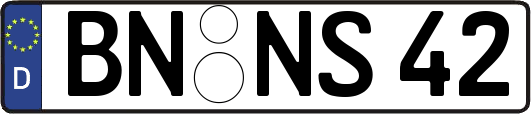 BN-NS42