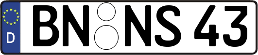 BN-NS43