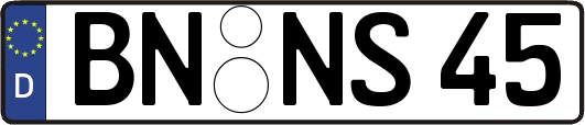 BN-NS45