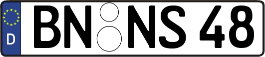 BN-NS48