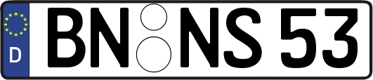 BN-NS53