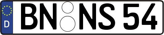 BN-NS54