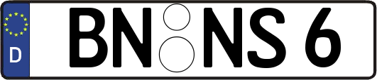 BN-NS6