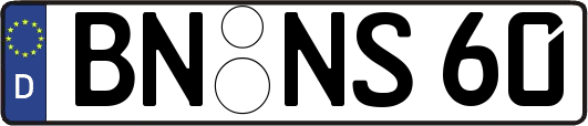 BN-NS60