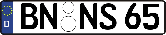 BN-NS65