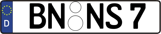 BN-NS7