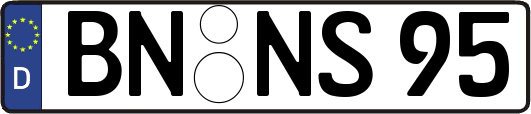 BN-NS95