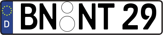 BN-NT29