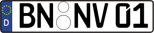 BN-NV01