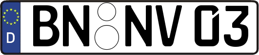 BN-NV03