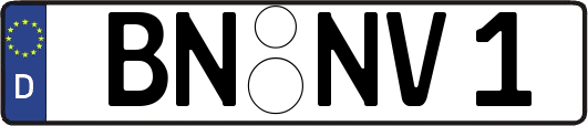 BN-NV1