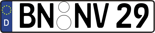 BN-NV29