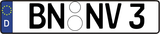 BN-NV3