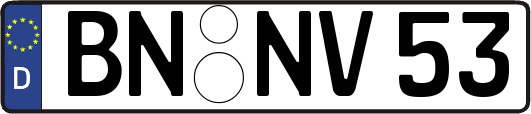 BN-NV53