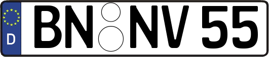 BN-NV55
