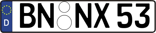 BN-NX53