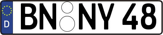 BN-NY48