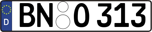 BN-O313