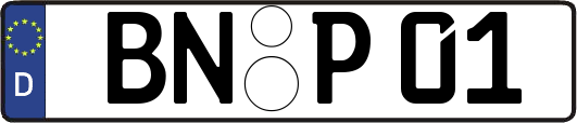 BN-P01