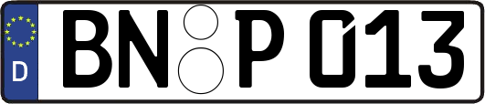 BN-P013