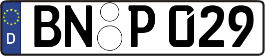 BN-P029