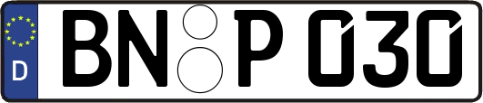 BN-P030
