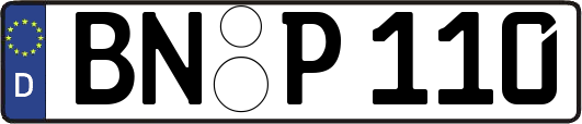 BN-P110