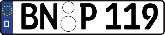 BN-P119